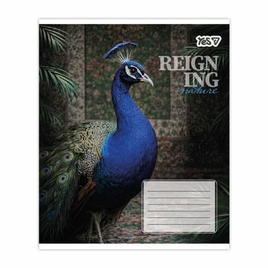 Тетрадь школьная Yes Reign ing А5 24 листов клетка - 5