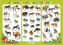 Плакат "Свійські та дикі тварини" Підручники і посібники - 1