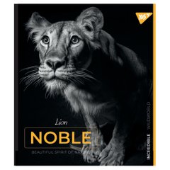Тетрадь YES Noble 24 листов линия - 1